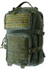 Картинка рюкзак туристический Tramp trp-041 olive green - 1