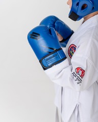 Перчатки для тхэквондо GTF/ITF Детские