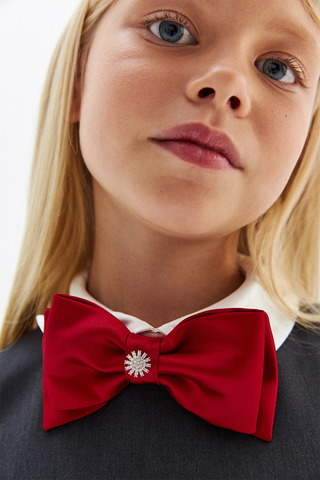 Галстук-бабочка Silver Spoon SSFSG-129-27906-416