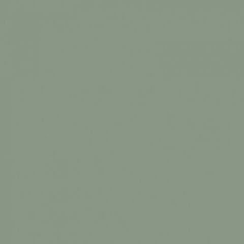 41zero42 Pixel41 Musk 11.5x11.5