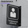 Табличка Генеральный директор флажковая на стену, двусторонняя с крепежом, 19 х 25 см, для офиса, кафе, ресторана, серия COSMO, Айдентика Технолоджи