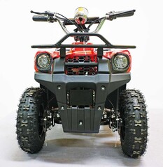 Квадроцикл GreenCamel Гоби K40 (36V 800W R6 Цепь) быстросъем