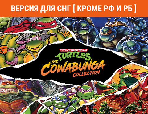 Teenage Mutant Ninja Turtles: The Cowabunga Collection (Версия для СНГ [ Кроме РФ и РБ ]) (для ПК, цифровой код доступа)