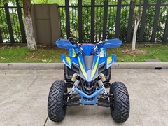 Квадроцикл YACOTA TYPHOON 250
