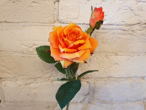 роза, 44см , цвет оранжевые