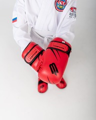 Перчатки для тхэквондо GTF/ITF Детские