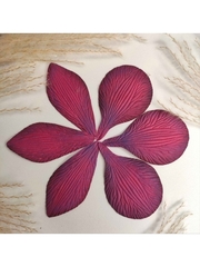 Молды пластиковые С-17 