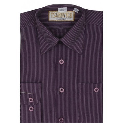 ST Сорочка детская Tsarevich Boston 6