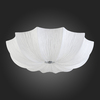 Светильник потолочный ST Luce Fiore SL358.502.05