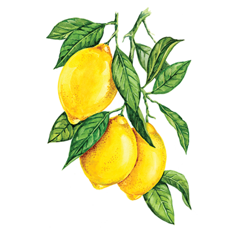 Сироп Лимон  ProffSyrup