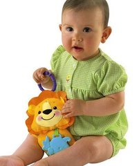 Fisher Price Мягкие погремушки-прорезыватели 