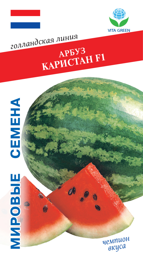 Семена каристана купить