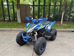 Квадроцикл YACOTA TYPHOON 250