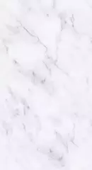 Панель ПВХ термопечать Дыхание Юга фон 652/1 2700х250 мм