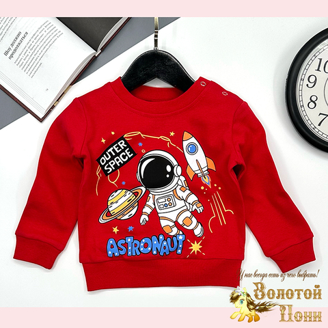 Джемпер хлопок м (1-4) 251106-GV225