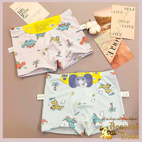 Трусы хлопок м (3-13) 260119-SL6141