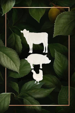 Отливка НШ 875 (10*9см средний размер)