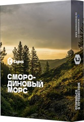 Sarma - Смородиновый морс, 25 гр