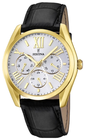 Наручные часы Festina F16753/1 фото