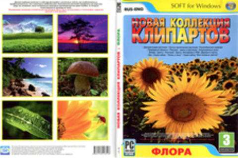 Новая коллекция клипартов: флора