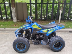 Квадроцикл YACOTA TYPHOON 250