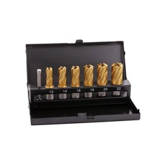 Набор корончатых сверл 12-22мм 7шт HSS-G TiN Weldon19 Terrax by Ruko A108820T