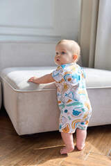 Песочник (в мире животных)