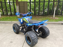 Квадроцикл YACOTA TYPHOON 250