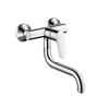 Смеситель для кухни настенного монтажа Hansgrohe Focus 31825000