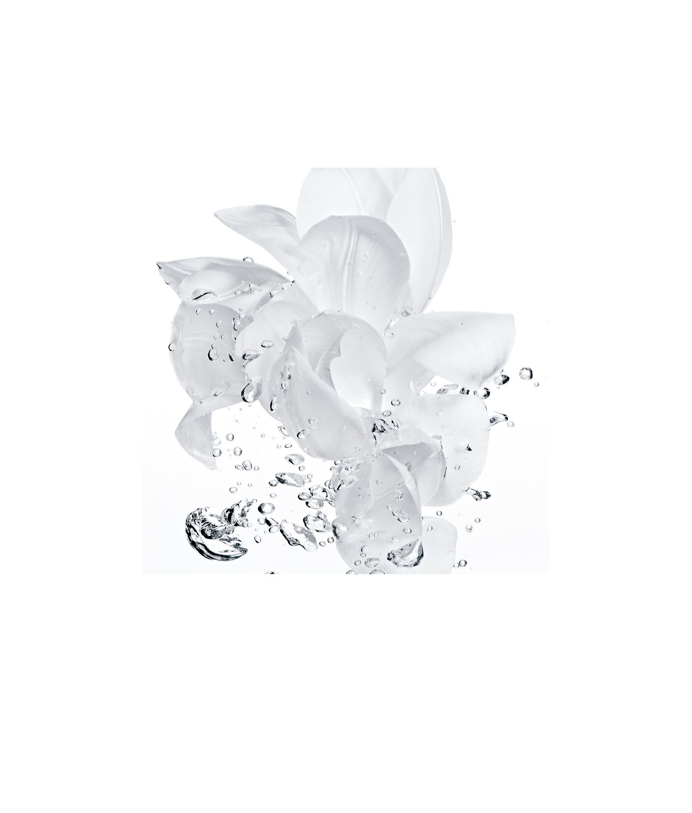 Dior hydra life 2 in 1 sorbet water online