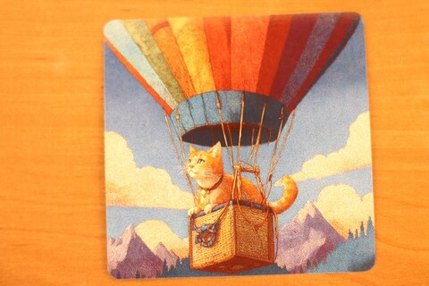 На воздушном шаре