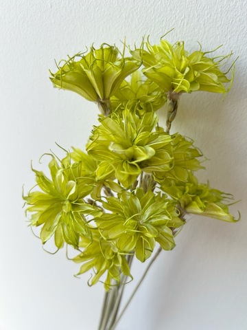 Фантазийные цветы 