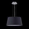 Подвесной светильник Maytoni Calvin Ceiling P179-PL-01-B