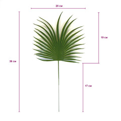 №2 Пальма круглая зеленая, лист 20 см, зелень искусственная, набор 6 листьев.