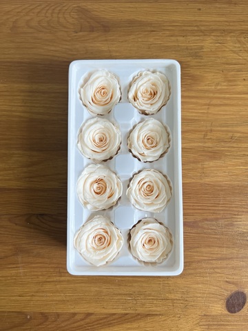 Роза классическая персиковая d=4-5 см (упак 8 шт)