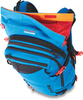 Картинка рюкзак горнолыжный Dakine Poacher Ras 18L Scout - 4