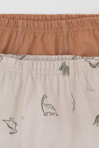 трусы/ уп  для мальчика  К 1930-2уп/индийский загар,бежевый,динозаврики