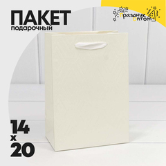 
          Пакет подарочный 14х20х8см Премиум "Элегант" (Белый)