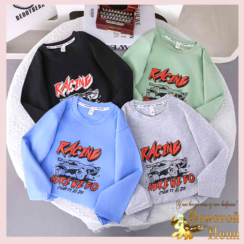 Лонгслив хлопок м (1-5) 260106-L1060