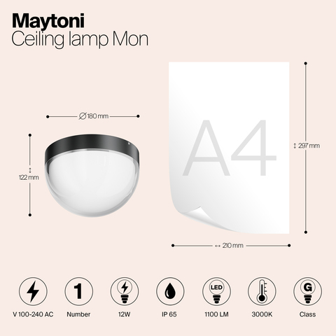 Уличный потолочный светодиодный светильник Maytoni Mon O438CL-L12GF3K