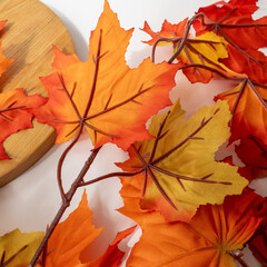 №2 Кленовые листья на ветке Желто-оранжево-зеленые, осенние, 70 см., набор 2 ветки