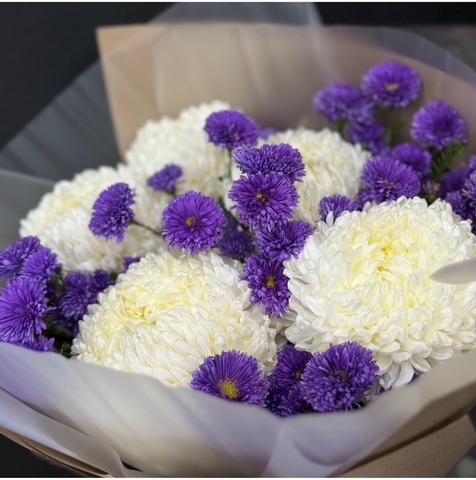 Зефирные хризантемы в Астрах