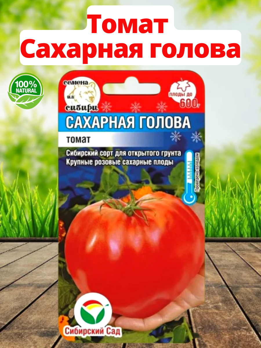 Томат сахарный отзывы фото