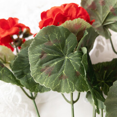 Герань Красная, реалистичная, искусственные цветы, высота 36 см, набор 1 шт.