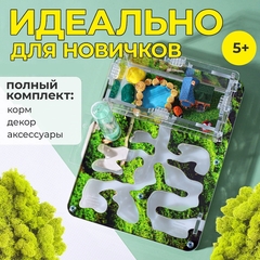 муравьиная ферма