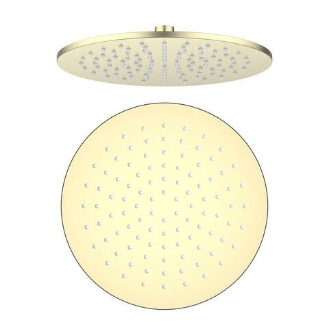 Aquatek AQ2077BG AQ2077BG круглый верхний душ  250*7 мм, шлиф. золото