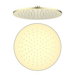 Aquatek AQ2077BG AQ2077BG круглый верхний душ  250*7 мм, шлиф. золото фото