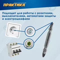 Бита отверточная ПРАКТИКА Профи двусторонняя PZ/FL1-PZ/FL2 х 65мм (2шт) (906-821)