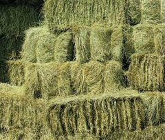 Сено луговое кипа 17 кг