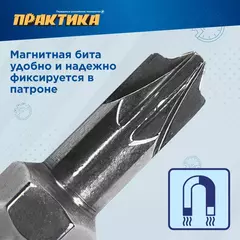 Бита отверточная ПРАКТИКА Профи двусторонняя PZ/FL1-PZ/FL2 х 65мм (2шт) (906-821)